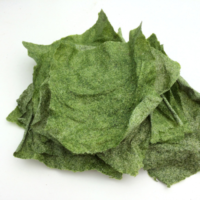 Algae Paper sheets made of green seaweed (Ulva Armoricana).