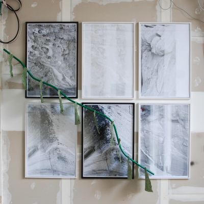 Algae Paper branches on silk-screened posters, 210 x 200 cm.